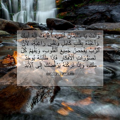Picture 07 - ١ أخبار 28:9 AVD - وَأَنْتَ يَا سُلَيْمَانُ - Bible Verse Picture