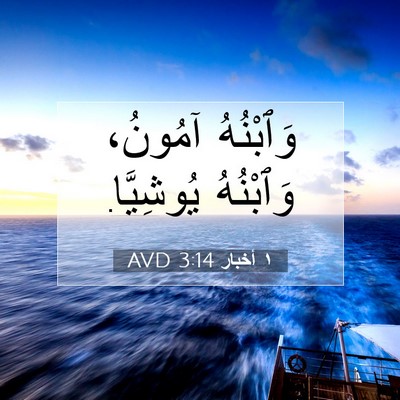 Picture 07 - ١ أخبار 3:14 AVD - وَٱبْنُهُ آمُونُ، - Bible Verse Picture