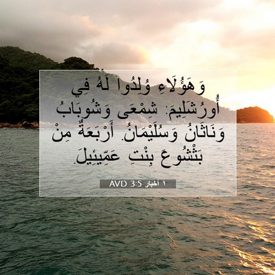 Picture 07 - ١ أخبار 3:5 AVD - وَهَؤُلَاءِ وُلِدُوا لَهُ - Bible Verse Picture