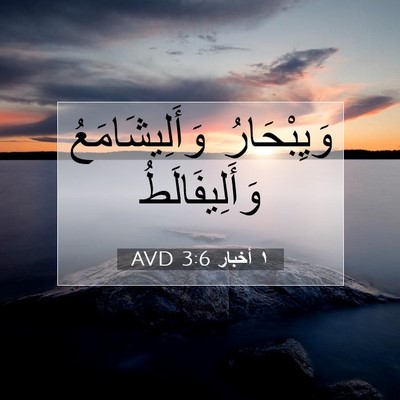 Picture 07 - ١ أخبار 3:6 AVD - وَيِبْحَارُ - Bible Verse Picture