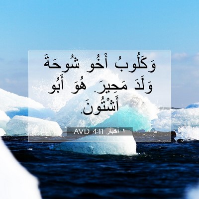 Picture 07 - ١ أخبار 4:11 AVD - وَكَلُوبُ أَخُو شُوحَةَ - Bible Verse Picture