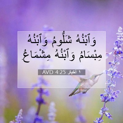 Picture 07 - ١ أخبار 4:25 AVD - وَٱبْنُهُ شَلُّومُ - Bible Verse Picture