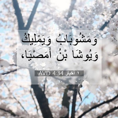 Picture 07 - ١ أخبار 4:34 AVD - وَمَشُوبَابُ وَيَمْلِيكُ - Bible Verse Picture
