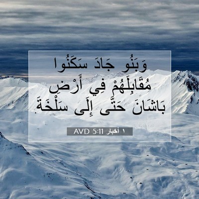 Picture 07 - ١ أخبار 5:11 AVD - وَبَنُو جَادَ سَكَنُوا - Bible Verse Picture