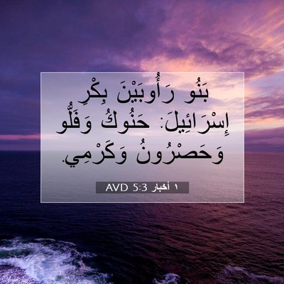 Picture 07 - ١ أخبار 5:3 AVD - بَنُو رَأُوبَيْنَ بِكْرِ - Bible Verse Picture