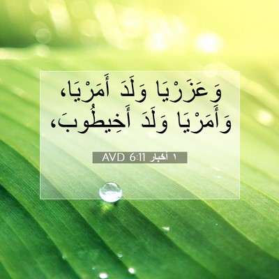 Picture 07 - ١ أخبار 6:11 AVD - وَعَزَرْيَا وَلَدَ - Bible Verse Picture