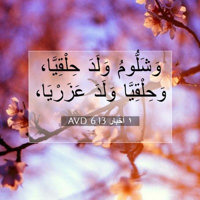Picture 07 - ١ أخبار 6:13 AVD - وَشَلُّومُ وَلَدَ - Bible Verse Picture