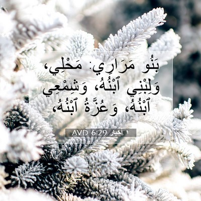 Picture 07 - ١ أخبار 6:29 AVD - بَنُو مَرَارِي: مَحْلِي، - Bible Verse Picture