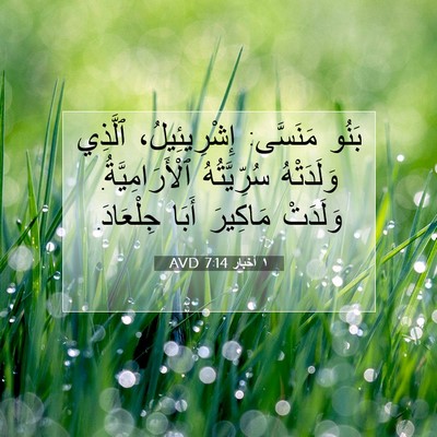 Picture 07 - ١ أخبار 7:14 AVD - بَنُو مَنَسَّى: - Bible Verse Picture