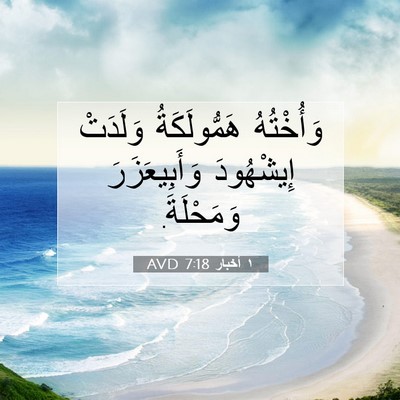 Picture 07 - ١ أخبار 7:18 AVD - وَأُخْتُهُ هَمُّولَكَةُ - Bible Verse Picture