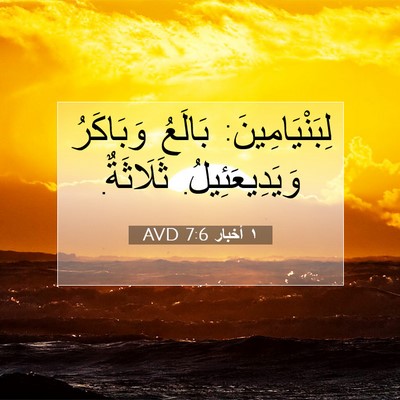 Picture 07 - ١ أخبار 7:6 AVD - لِبَنْيَامِينَ: بَالَعُ - Bible Verse Picture
