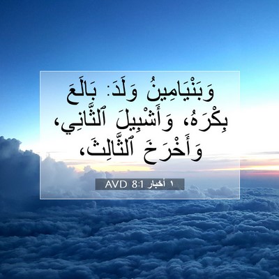 Picture 07 - ١ أخبار 8:1 AVD - وَبَنْيَامِينُ وَلَدَ: - Bible Verse Picture