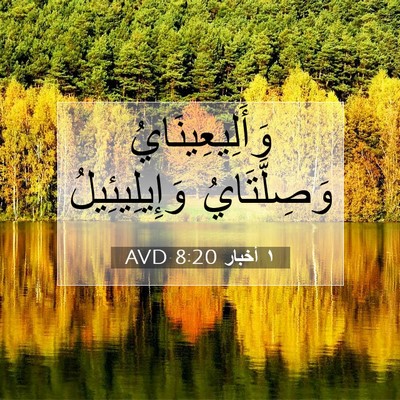 Picture 07 - ١ أخبار 8:20 AVD - وَأَلِيعِينَايُ - Bible Verse Picture