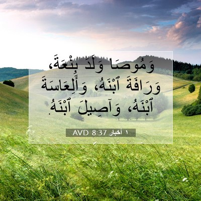 Picture 07 - ١ أخبار 8:37 AVD - وَمُوصَا وَلَدَ بِنْعَةَ، - Bible Verse Picture