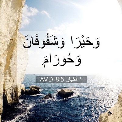 Picture 07 - ١ أخبار 8:5 AVD - وَحَيْرَا وَشَفُوفَانَ - Bible Verse Picture