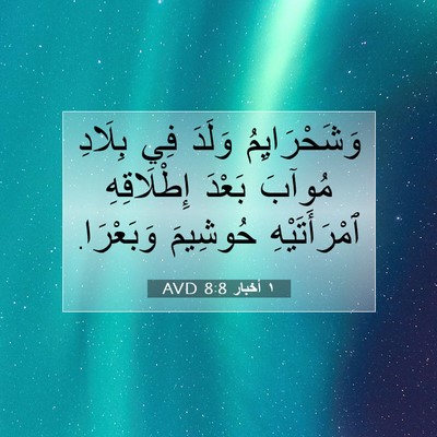 Picture 07 - ١ أخبار 8:8 AVD - وَشَحْرَايِمُ وَلَدَ فِي - Bible Verse Picture