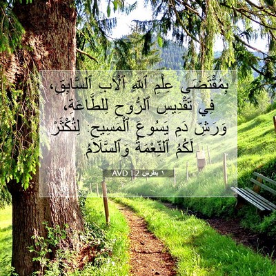 Picture 07 - ١ بطرس 1:2 AVD - بِمُقْتَضَى عِلْمِ ٱللهِ - Bible Verse Picture