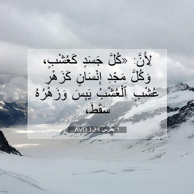 Picture 07 - ١ بطرس 1:24 AVD - لِأَنَّ: «كُلَّ جَسَدٍ - Bible Verse Picture