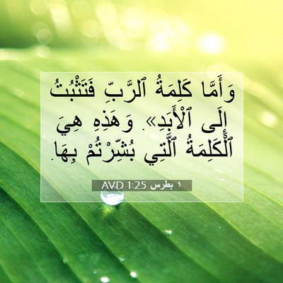 Picture 07 - ١ بطرس 1:25 AVD - وَأَمَّا كَلِمَةُ - Bible Verse Picture