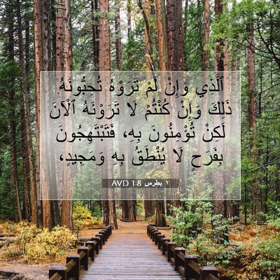 Picture 07 - ١ بطرس 1:8 AVD - ٱلَّذِي وَإِنْ لَمْ - Bible Verse Picture