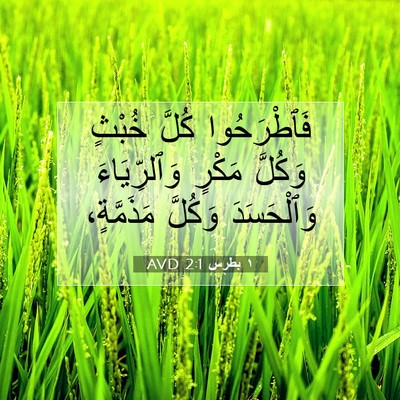 Picture 07 - ١ بطرس 2:1 AVD - فَٱطْرَحُوا كُلَّ خُبْثٍ - Bible Verse Picture