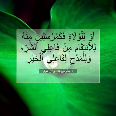 Picture 07 - ١ بطرس 2:14 AVD - أَوْ لِلْوُلَاةِ - Bible Verse Picture