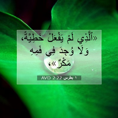 Picture 07 - ١ بطرس 2:22 AVD - «ٱلَّذِي لَمْ يَفْعَلْ - Bible Verse Picture