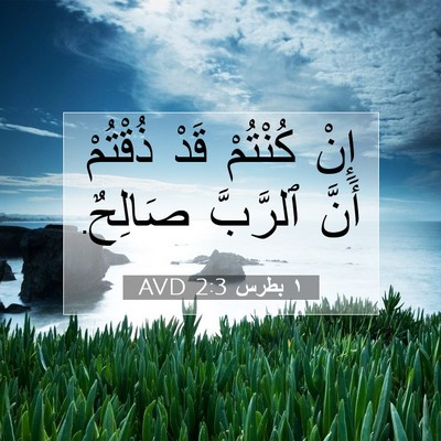 Picture 07 - ١ بطرس 2:3 AVD - إِنْ كُنْتُمْ قَدْ - Bible Verse Picture