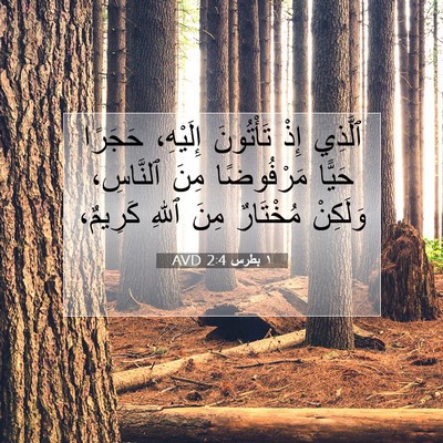 Picture 07 - ١ بطرس 2:4 AVD - ٱلَّذِي إِذْ تَأْتُونَ - Bible Verse Picture