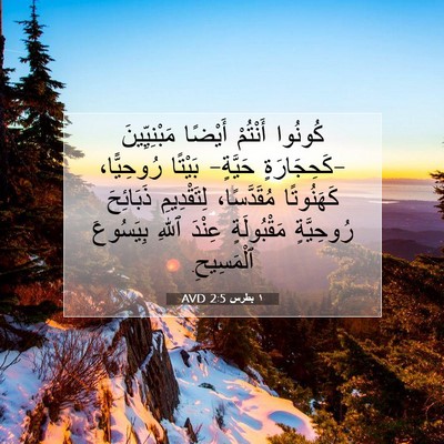 Picture 07 - ١ بطرس 2:5 AVD - كُونُوا أَنْتُمْ أَيْضًا - Bible Verse Picture