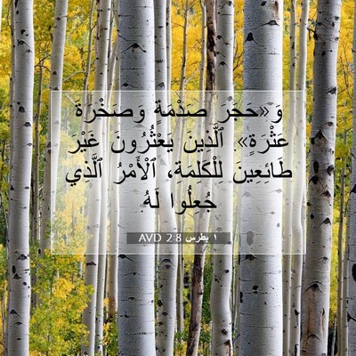 Picture 07 - ١ بطرس 2:8 AVD - وَ«حَجَرَ صَدْمَةٍ - Bible Verse Picture