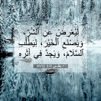 Picture 07 - ١ بطرس 3:11 AVD - لِيُعْرِضْ عَنِ ٱلشَّرِّ، - Bible Verse Picture