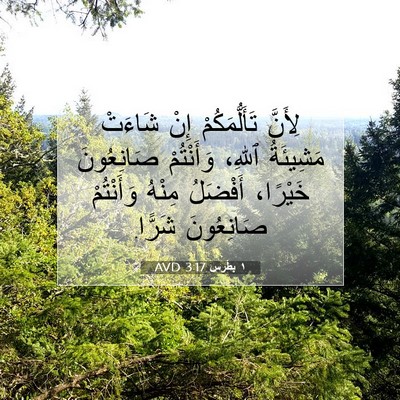 Picture 07 - ١ بطرس 3:17 AVD - لِأَنَّ تَأَلُّمَكُمْ - Bible Verse Picture