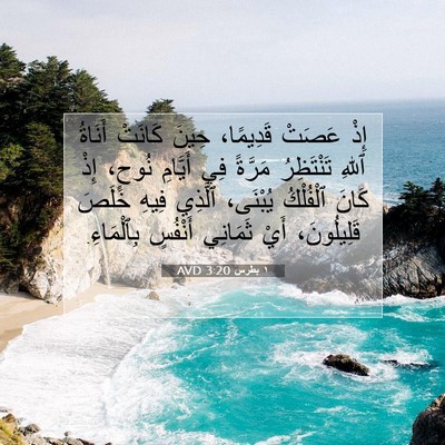 Picture 07 - ١ بطرس 3:20 AVD - إِذْ عَصَتْ قَدِيمًا، - Bible Verse Picture