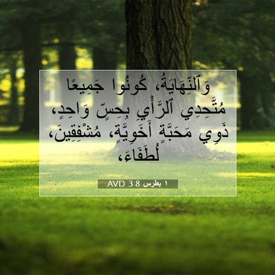 Picture 07 - ١ بطرس 3:8 AVD - وَٱلنِّهَايَةُ، كُونُوا - Bible Verse Picture