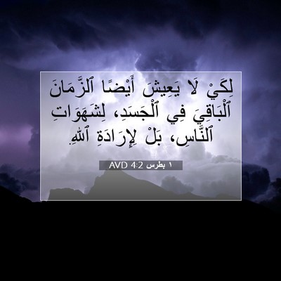 Picture 07 - ١ بطرس 4:2 AVD - لِكَيْ لَا يَعِيشَ أَيْضًا - Bible Verse Picture