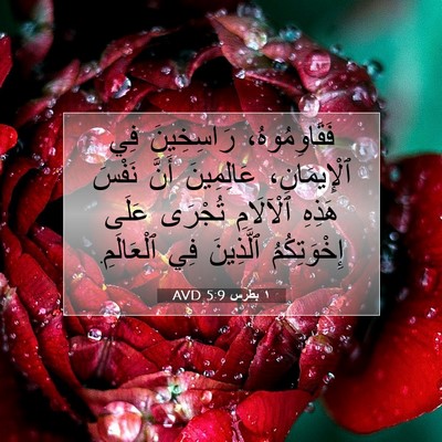 Picture 07 - ١ بطرس 5:9 AVD - فَقَاوِمُوهُ، رَاسِخِينَ - Bible Verse Picture