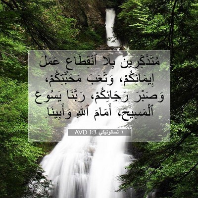 Picture 07 - ١ تسالونيكي 1:3 AVD - مُتَذَكِّرِينَ بِلَا - Bible Verse Picture
