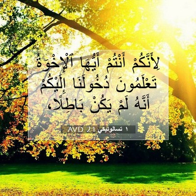Picture 07 - ١ تسالونيكي 2:1 AVD - لِأَنَّكُمْ أَنْتُمْ - Bible Verse Picture