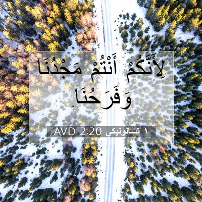 Picture 07 - ١ تسالونيكي 2:20 AVD - لِأَنَّكُمْ أَنْتُمْ - Bible Verse Picture