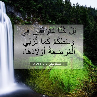Picture 07 - ١ تسالونيكي 2:7 AVD - بَلْ كُنَّا - Bible Verse Picture