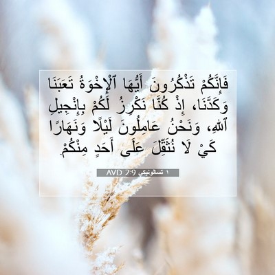Picture 07 - ١ تسالونيكي 2:9 AVD - فَإِنَّكُمْ تَذْكُرُونَ - Bible Verse Picture