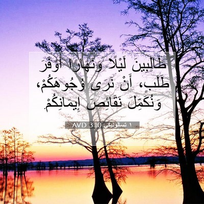 Picture 07 - ١ تسالونيكي 3:10 AVD - طَالِبِينَ لَيْلًا - Bible Verse Picture