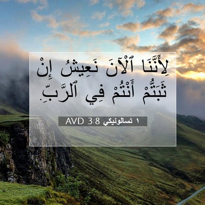 Picture 07 - ١ تسالونيكي 3:8 AVD - لِأَنَّنَا ٱلْآنَ نَعِيشُ - Bible Verse Picture