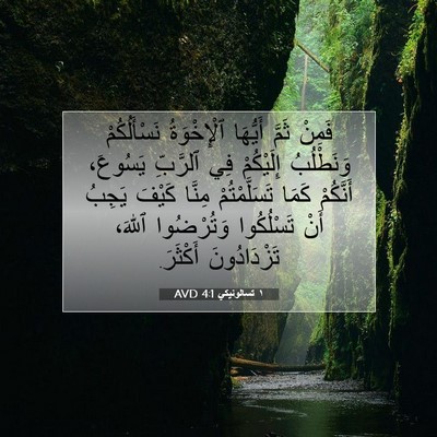 Picture 07 - ١ تسالونيكي 4:1 AVD - فَمِنْ ثَمَّ أَيُّهَا - Bible Verse Picture
