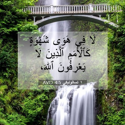 Picture 07 - ١ تسالونيكي 4:5 AVD - لَا فِي هَوَى شَهْوَةٍ - Bible Verse Picture