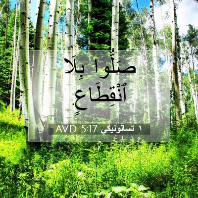 Picture 07 - ١ تسالونيكي 5:17 AVD - صَلُّوا بِلَا - Bible Verse Picture