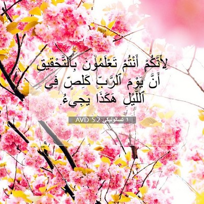 Picture 07 - ١ تسالونيكي 5:2 AVD - لِأَنَّكُمْ أَنْتُمْ - Bible Verse Picture