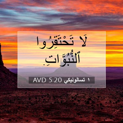 Picture 07 - ١ تسالونيكي 5:20 AVD - لَا تَحْتَقِرُوا - Bible Verse Picture