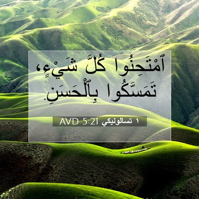 Picture 07 - ١ تسالونيكي 5:21 AVD - ٱمْتَحِنُوا كُلَّ شَيْءٍ، - Bible Verse Picture